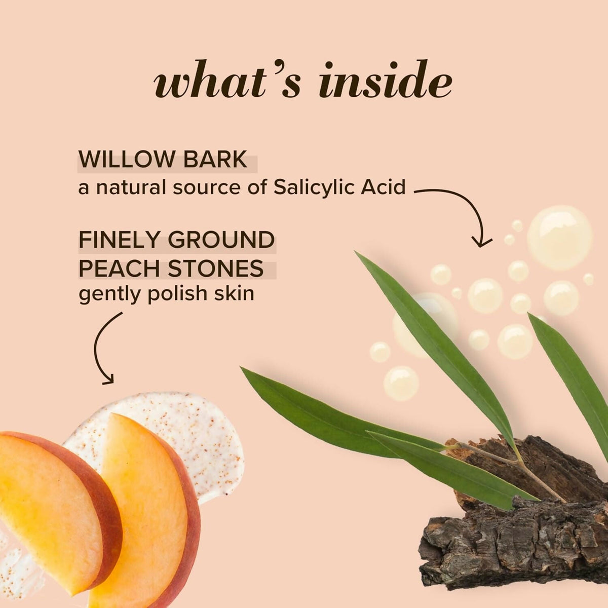 Burt's Bees Deep Pore Scrub with Peach & Willow Bark