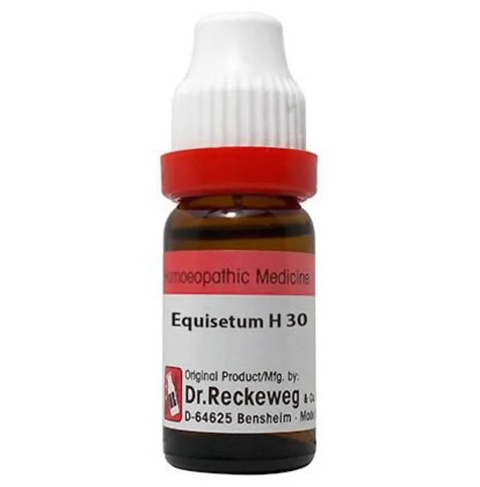 Dr. Reckeweg Equisetum H Dilution