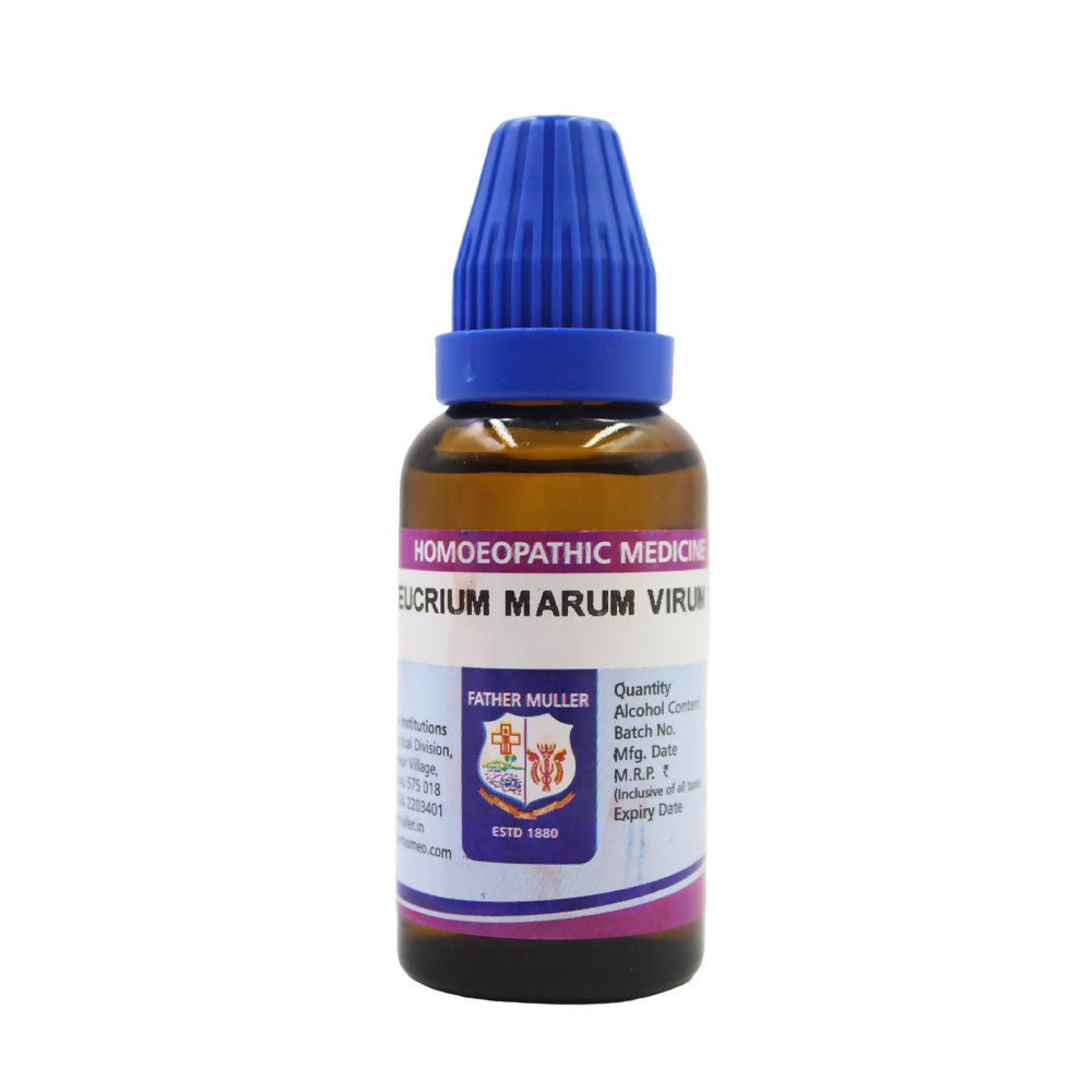 Father Muller Teucrium Marum Virum Dilution