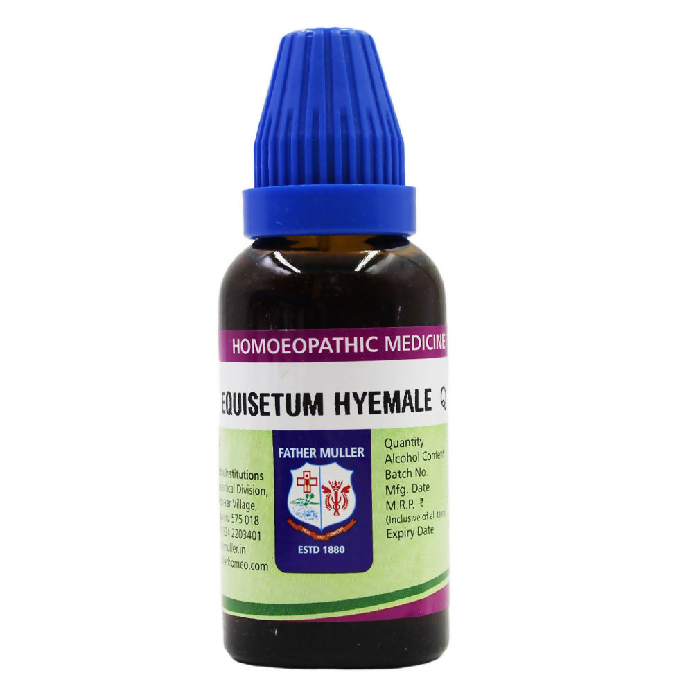 Father Muller Equisetum Hyemale Mother Tincture Q