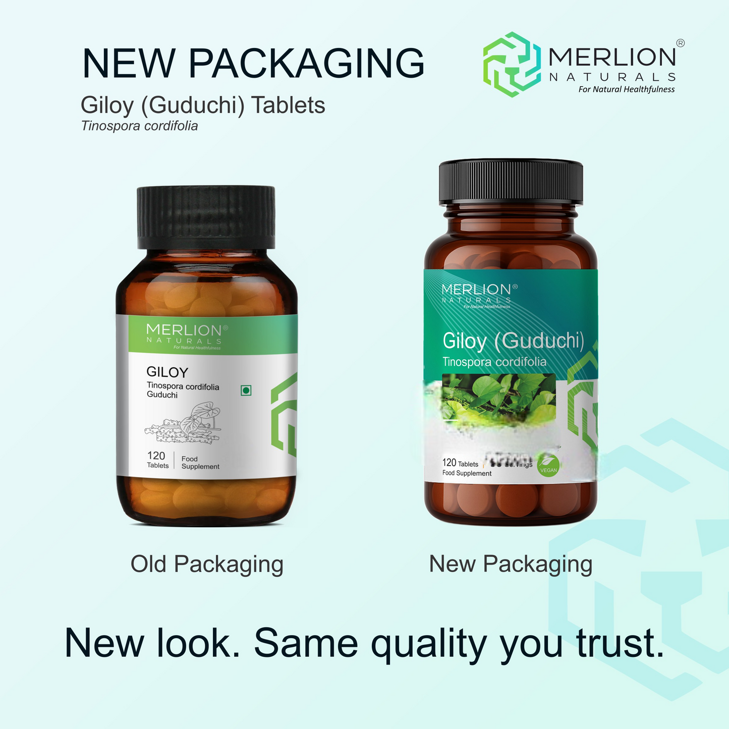 Merlion Naturals Giloy 500mg Tablets