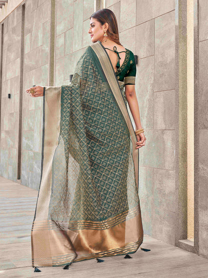 Tikhi Imli Olive Floral Embroidered Zari Organza Saree