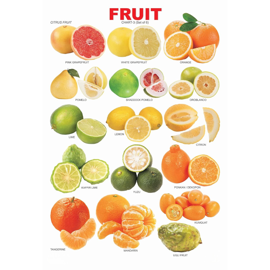 Dreamland Publications Educational Chart for Kids - Fruit Chart - 3