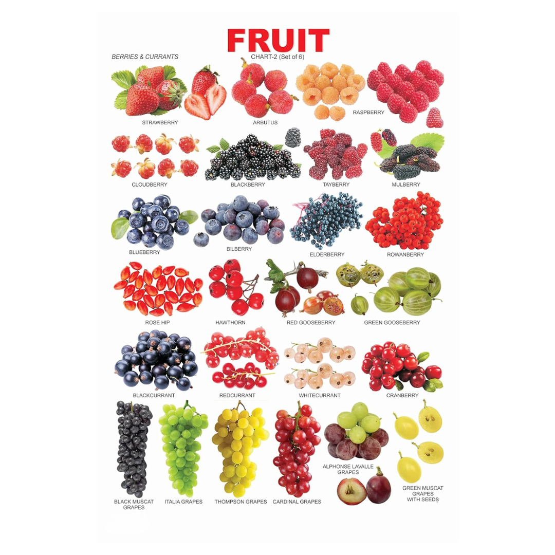 Dreamland Publications Educational Chart for Kids - Fruit Chart - 2