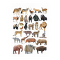 Dreamland Publications Educational Chart for Kids - Animals-2