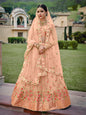 Myra Blush Net Heavy Embroidered Designer Lehenga