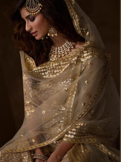 Myra Dusky Beige Soft Net Gharara Suit