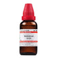 Dr. Willmar Schwabe India Santoninum Dilution