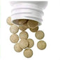 Zyrex Ayurveda Bhumyamalaki