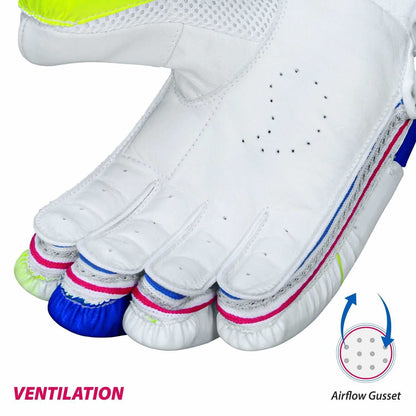 DSC Intense Attitude Men's Cricket Batting Gloves (Colour May Vary)
