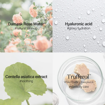 d'Alba Piedmont Italian White Truffle Waterfull Tone-Up Sunscreen Vegan Skincare Tinted Moisturizer With Spf 50+ Pa+++