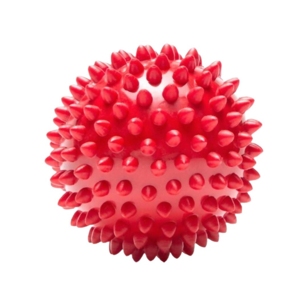 The Dogs Company Natural Rubber Spiked Ball Dog Chew Toy