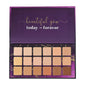 Aflairza The Flawless Edit Conceal & Correct Palette with 18 Super-Creamy Shades