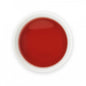 Tea Sense Hibiscus Rose Tea Bags Box