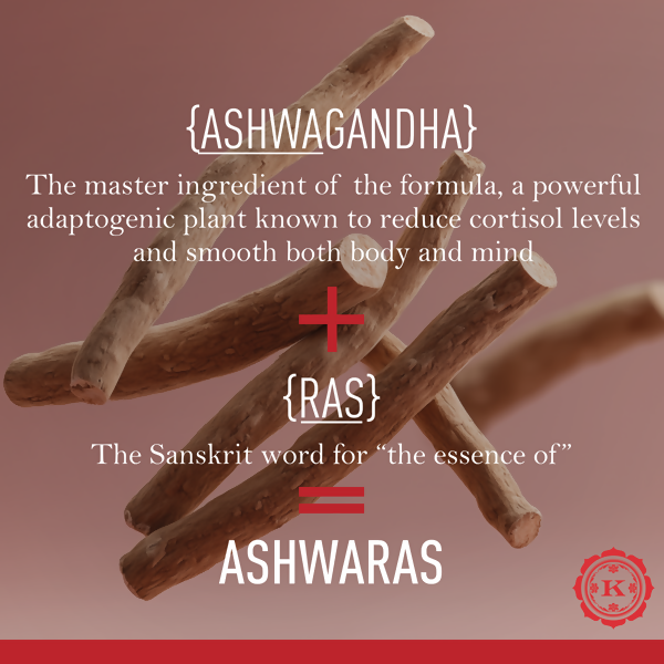 Kama Ayurveda Ashwaras Replenshing Body Oil