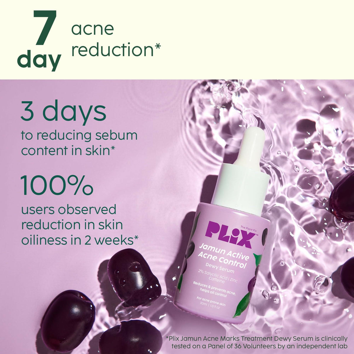 PLIX The Plant Fix 2% Niacinamide and Salicylic Acid Jamun Moisturizer and Serum Combo