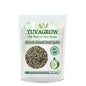 Yuvagrow Black Urad Dal Split