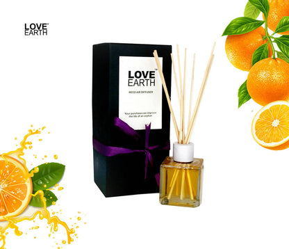 Love Earth Reed Diffuser- Orange