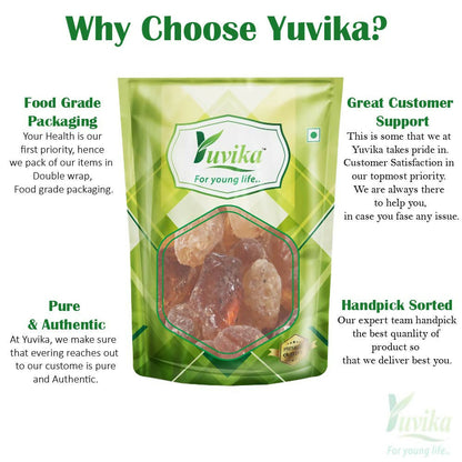 Yuvika Gond Babool - Babul Gond - Gond Kikar - Acacia Gum