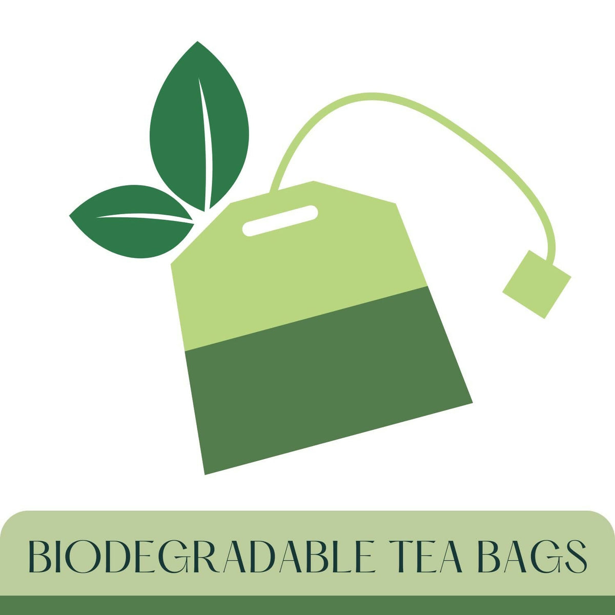 Satvi Wellness Barley Punarnava Tea | Barley Seed With Boerhavia Diffusa Herbal Tea