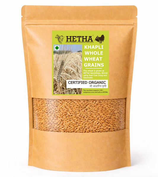 Hetha Khapli Whole Wheat Grains - Certified Organic by ECOCERT