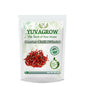 Yuvagrow Red Guntur Chilli