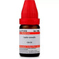 Dr. Willmar Schwabe India Carbo Animalis Dilution