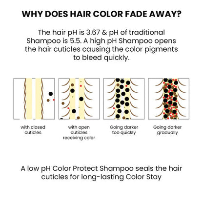 ThriveCo Color Protection Shampoo For Dye & Color Treated Hair