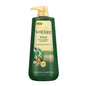 Kesh King Ayurvedic Anti Hairfall Shampoo