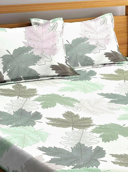 Home Sizzler Multicolour Printed 144 TC Bedsheet with Pillow Covers