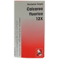 Dr. Reckeweg Calcarea Fluorica Biochemic Tablet