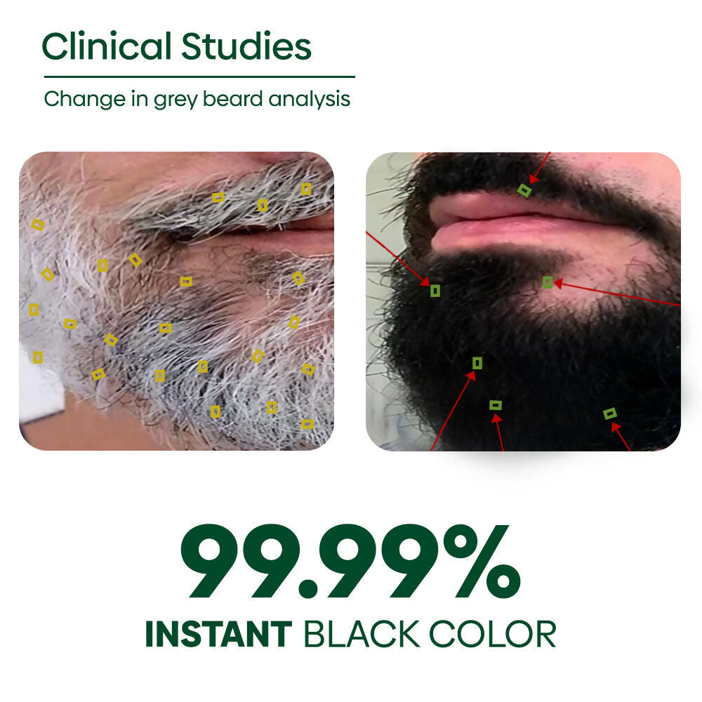 Rishi Natural Beard Black Color