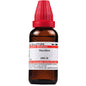 Dr. Willmar Schwabe India Theridion Dilution