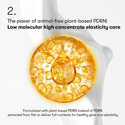 VT Cosmetics PDRN Reedle Shot 300