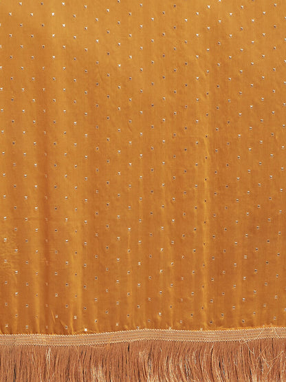 Tikhi Imli Embellished Mukaish Saree