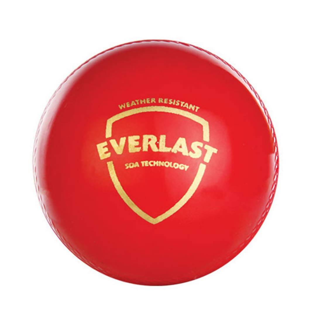 SG Everlast Leather Cricket Ball - Red
