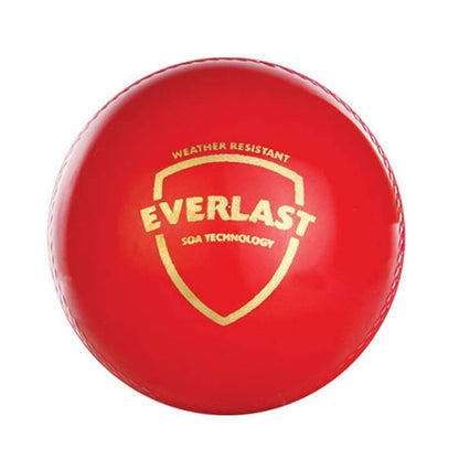 SG Everlast Leather Cricket Ball - Red