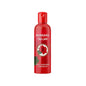 Bello Herbals Mandara Tailam Oil