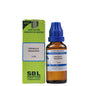 SBL Homeopathy Epiphegus Virginiana Dilution