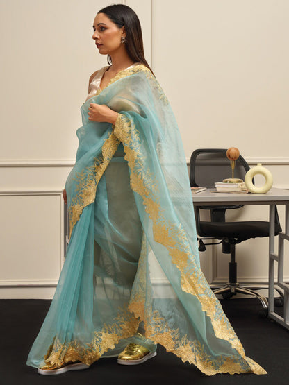 Tikhi Imli Embroidered Organza Heavy Work Saree