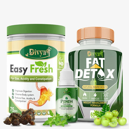 Divya Shree Fat Detox Capsule + Easy Fresh Powder & Punch Tulsi Drop Gas Combo Kit