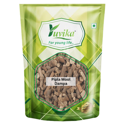 Yuvika Pipla Mool Dampa | Piplamool | Peepla Mool