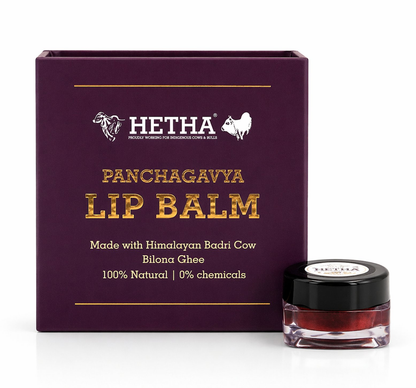 Hetha Ghee Lip Balm