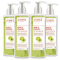 Jiva Ayurveda Amla Shampoo