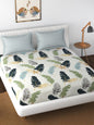 Florida Reeva Off White & Green Floral 180 TC Fitted King Bedsheet With 2 Pillow Covers