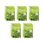 Vedsun Naturals Bhringraj Powder