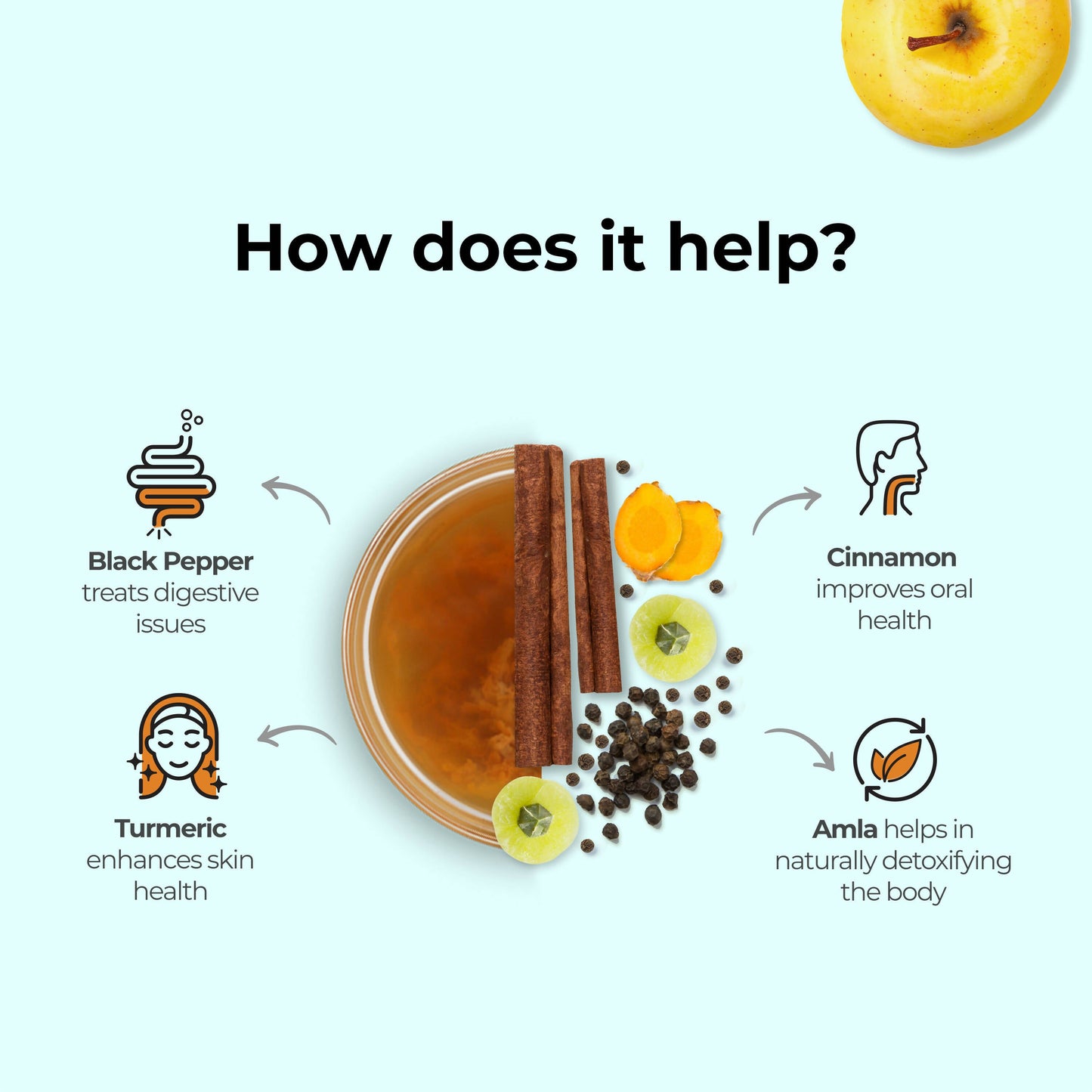 Wellbeing Nutrition Organic Apple Cider Vinegar with 2X Mother - Amla, Turmeric, Cinnamon, and Black Pepper
