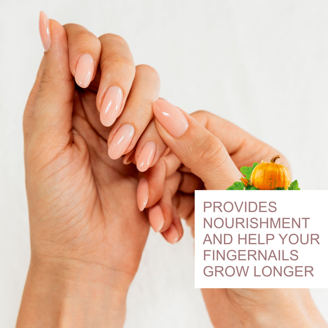 Nuerma Science Pumpkin Essential Oil