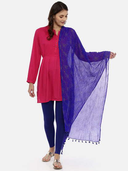 Souchii Blue & Gold-Toned Embellished Dupatta