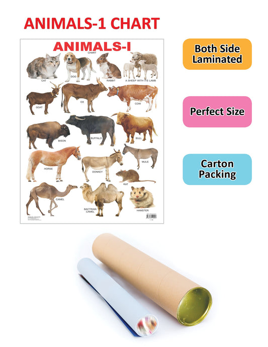 Dreamland Publications Educational Chart for Kids - Animals-1